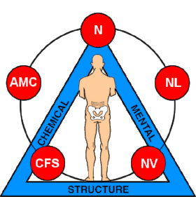 Professional Applied Kinesiologist