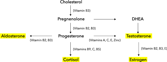 Hormone Cascade Chart